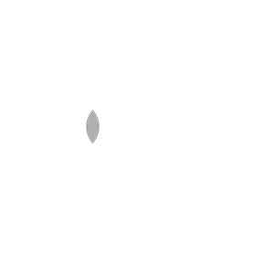 Box Architects