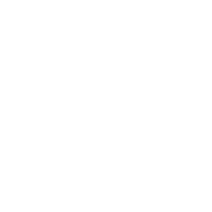 The Salveson Mindroom Centre